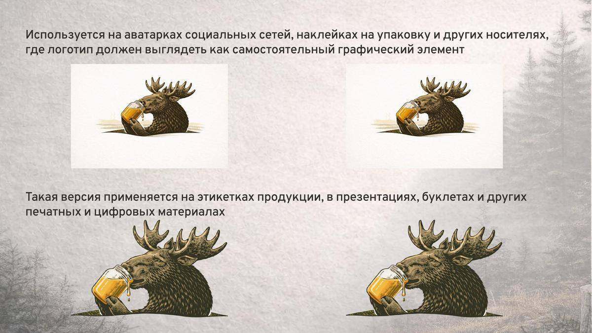Применение логотипа