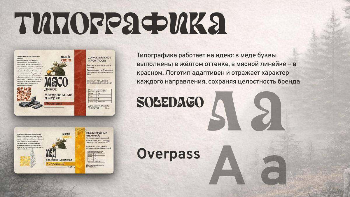 Типографика