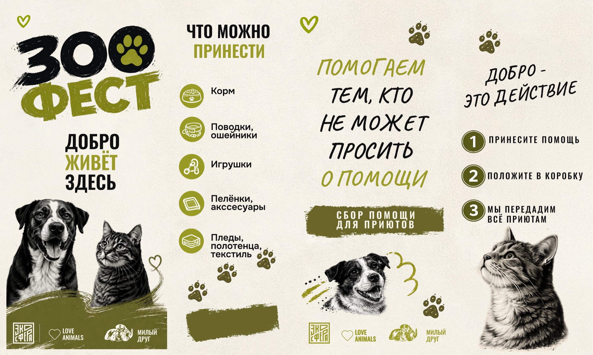 Развёртка коробки для Зоофеста